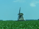 059  Větrný mlýn