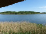 039  Výhled na Bohdanečský rybník