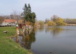 078  Rybník Tahounek