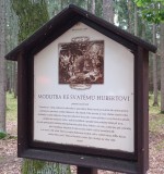 08  U svatého Huberta