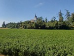 08  Vrch Humberk