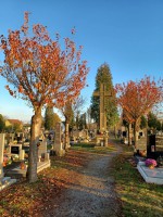 106  Hřbitov