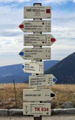 11  Info