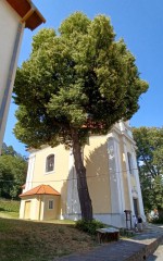 16  Luleč - kostel sv. Isidora