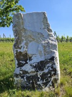 20 