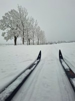 23  Cestou k parkovišti