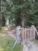 25  Branka