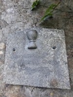 26  