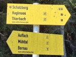 28  Info
