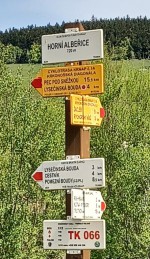 29  Info