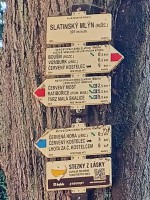29  Info