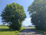 30  Cestou