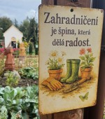 31  Myšlenka