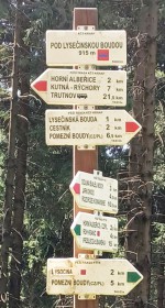 41  Info