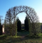 42  Hřbitov Bukovka