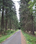 43  Táhlý kopec