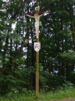43  Kříž u lesa