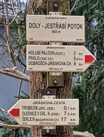 46  Info