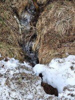 52  Bublavý potůček