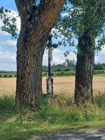56  Průhled