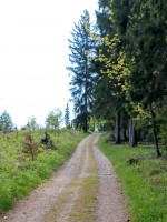 59  Cestou