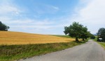 70  Cestou obcí Brdo - vzpomínka na skautský tábor 