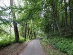 01  Zlatou cestou