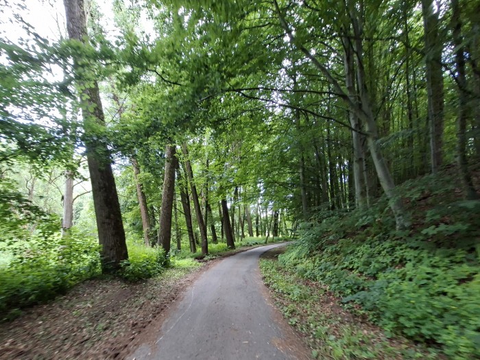 01  Zlatou cestou