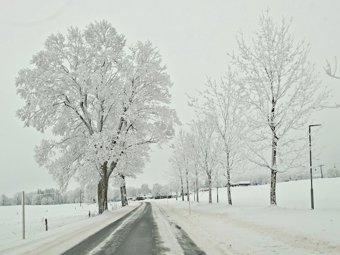 03  Cestou k parkovišti