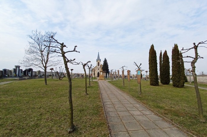 031  Hřbitov Sedlice