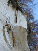 032  Detail