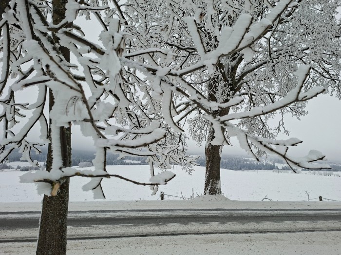 06  Pohled ke hranici