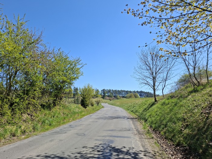 06  