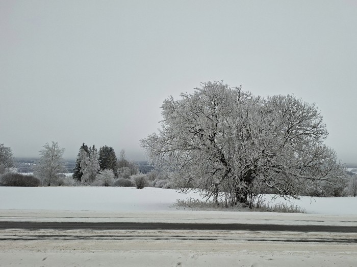 07  Pohled ke hranici