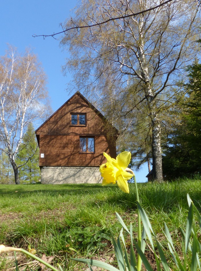 07  Květ