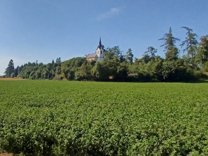 08  Vrch Humberk