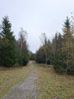 08  Cestou bratří Čapků