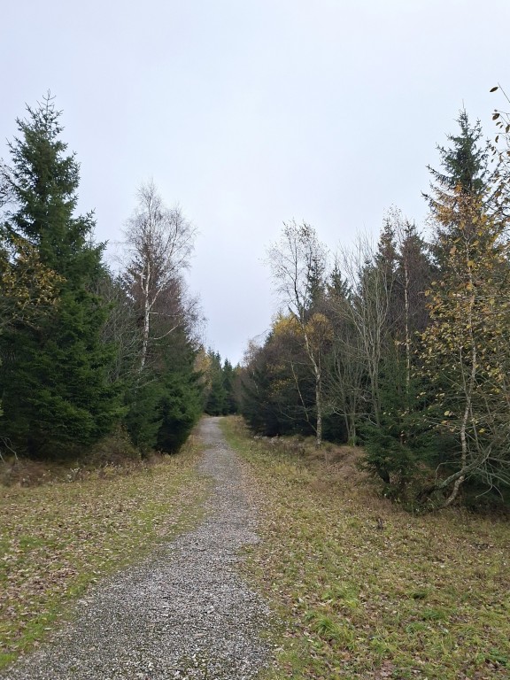 08  Cestou bratří Čapků