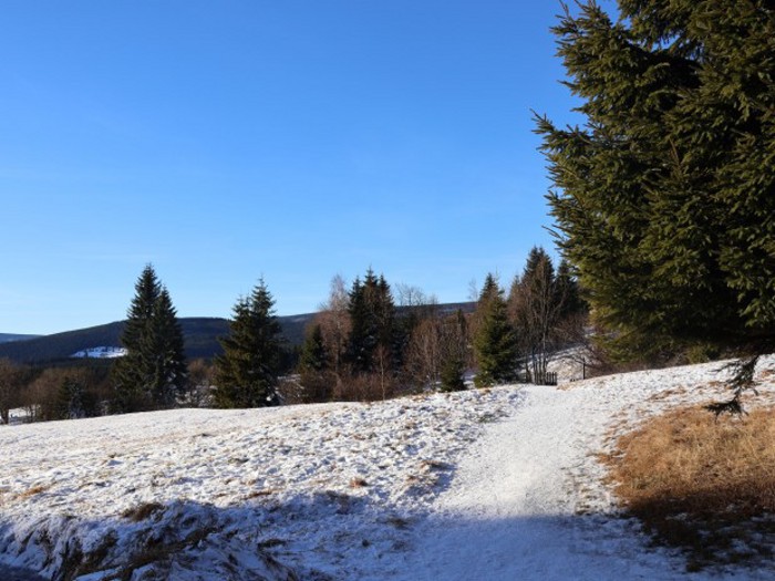 08  Cestou po žluté