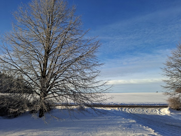 08  Před klášterem