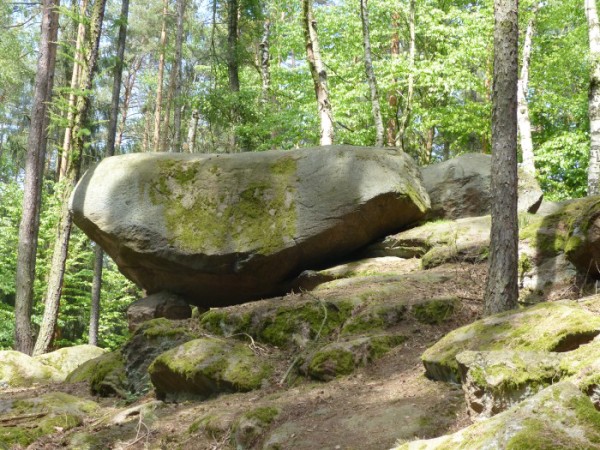 088  Detail
