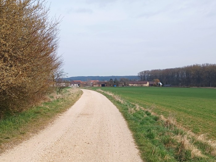 098  Cestou k Radostovu