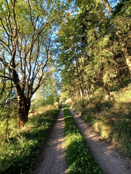 103  Cesta - Traverz Vraních hor