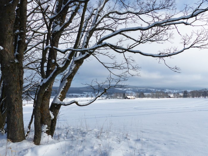 13  Otočka pod lesem