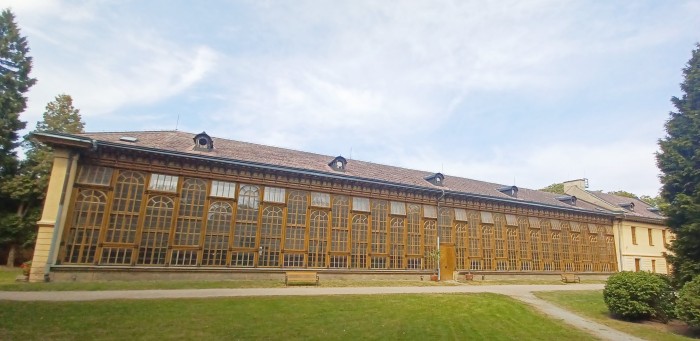 19  Palmový skleník