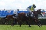 19  Jezdci