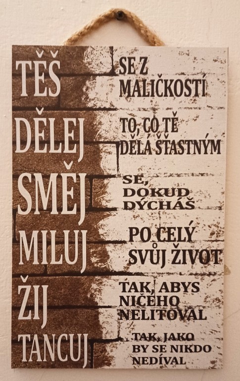 20  Myšlenka na chodbě fary