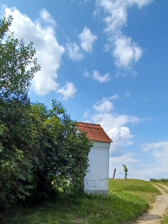 21  Vyjížďka na ekole