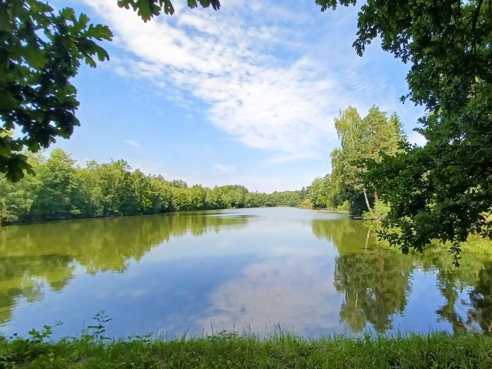 21  Rybník Hrachovec