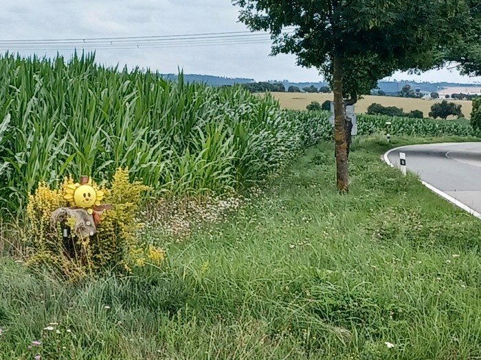 21  Cestou do Dačic